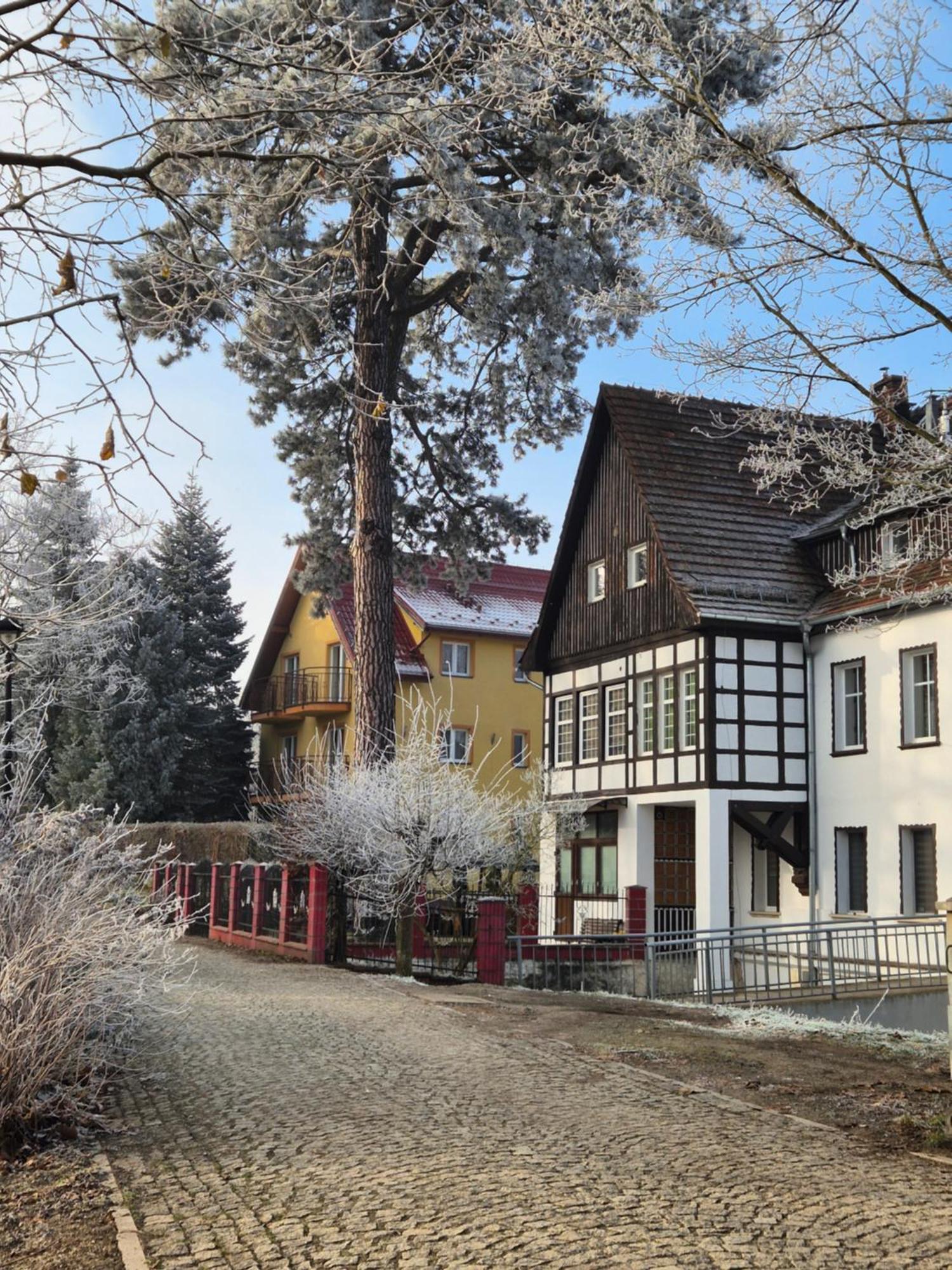 Apartament Kudowianka Kudowa-Zdrój Buitenkant foto